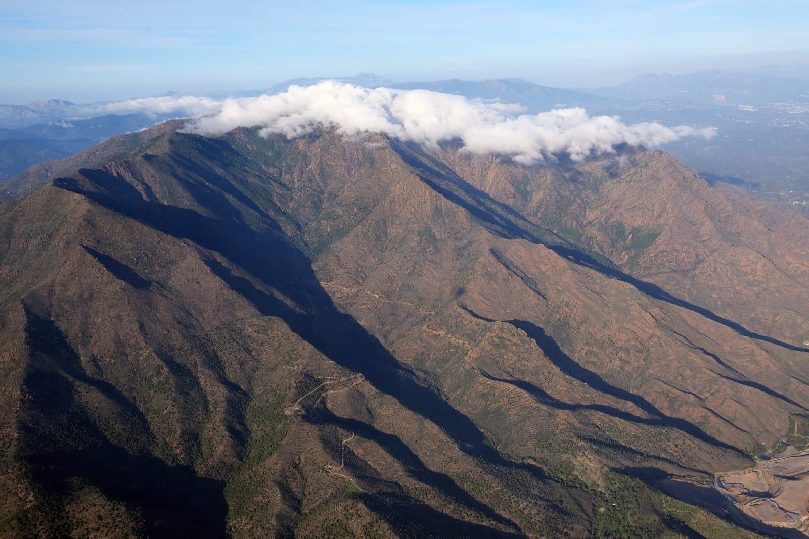 Los Reales de Sierra Bermeja