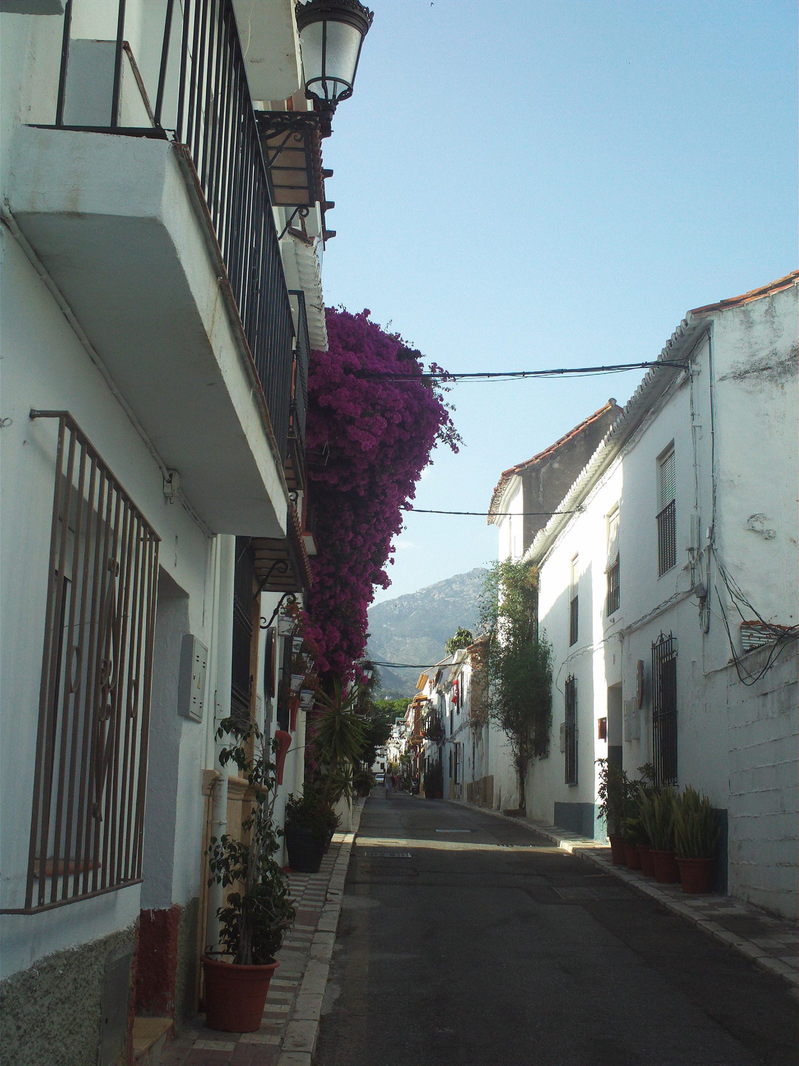 Lola Café Marbella
