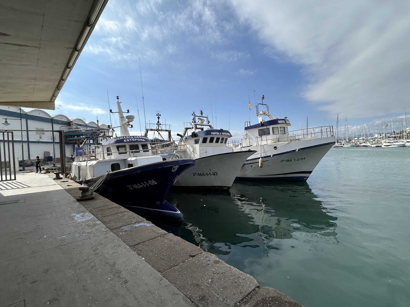 Estepona Puerto Pesquero