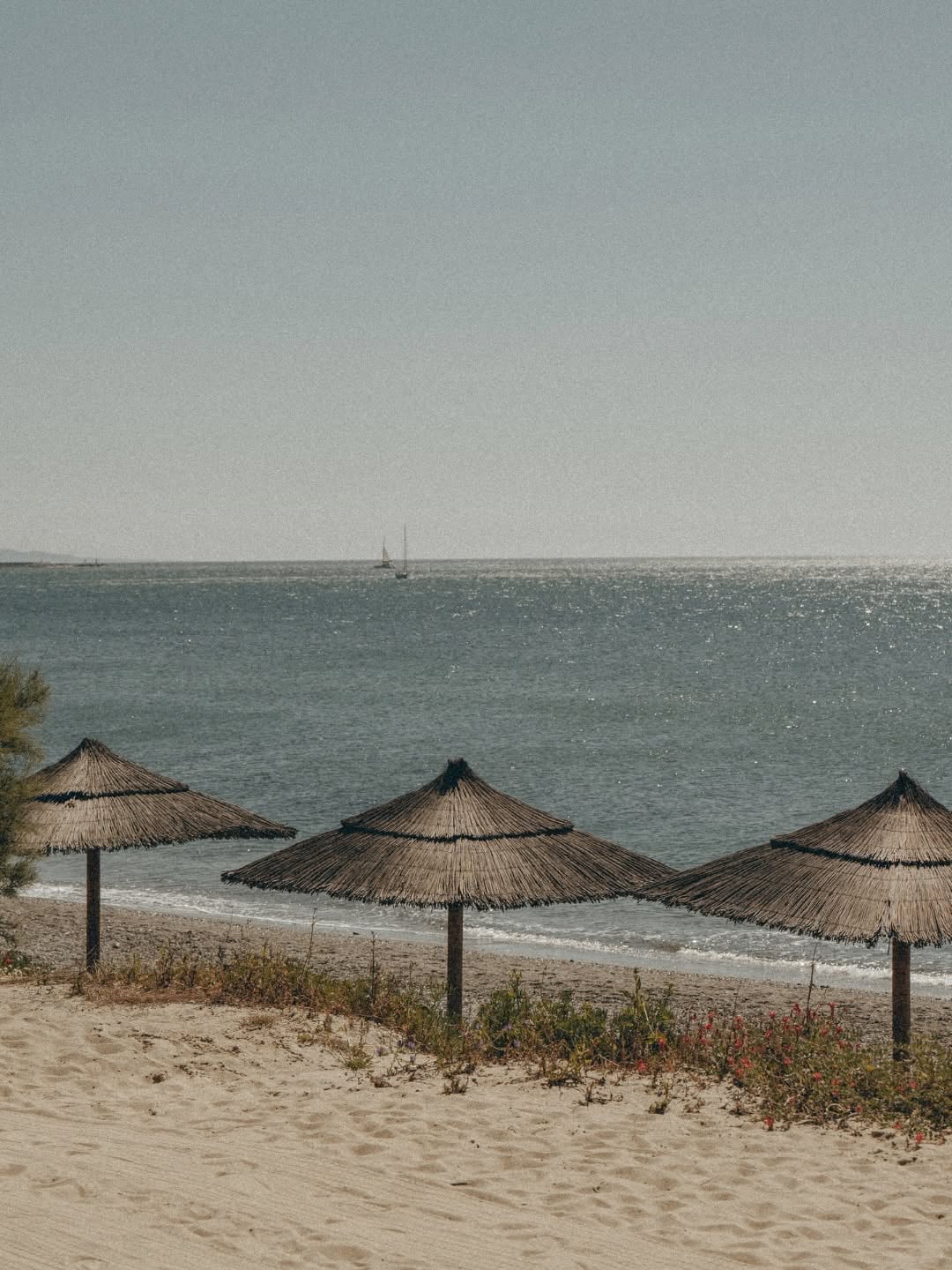 Aventura Amazonia Marbella