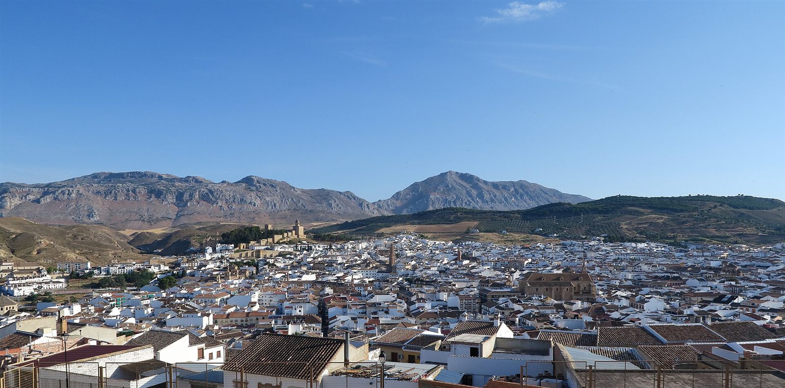 Antequera DOP shop